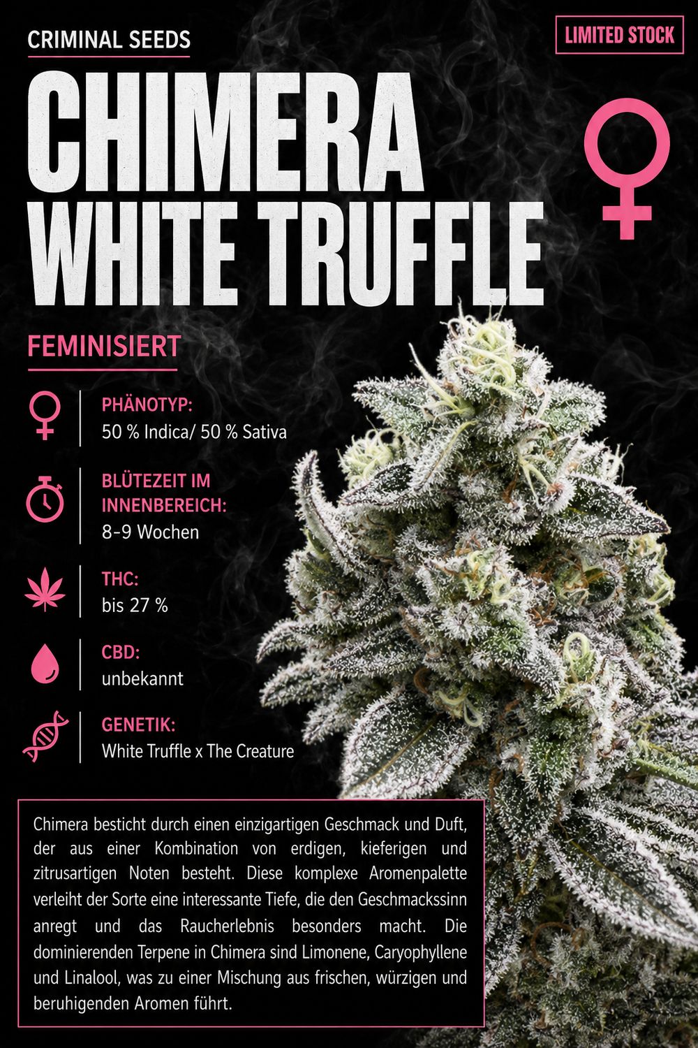 Chimera White Truffle Cali Limited Edition - Criminal Seeds feminisiert 3er Pack