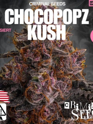 Chocopopz Kush - Criminal Seeds feminisiert 3er Pack