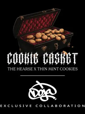 Cookie Casket - Barneys Farm feminisiert 3er Pack