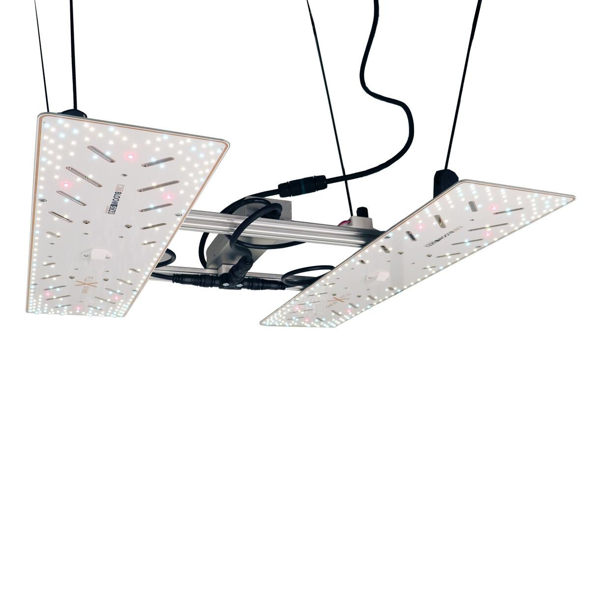 BloomStar Wingman 660L LED für 80x80