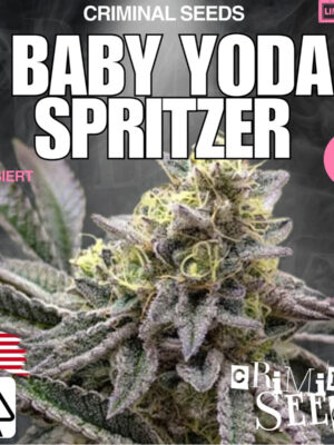 Baby Yoda Spritzer - Criminal Seeds feminisiert 3er Pack