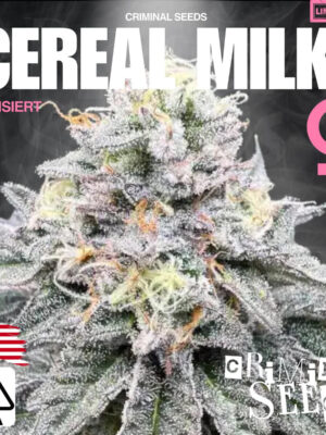 Pollenshaker XL Cannabis Samen