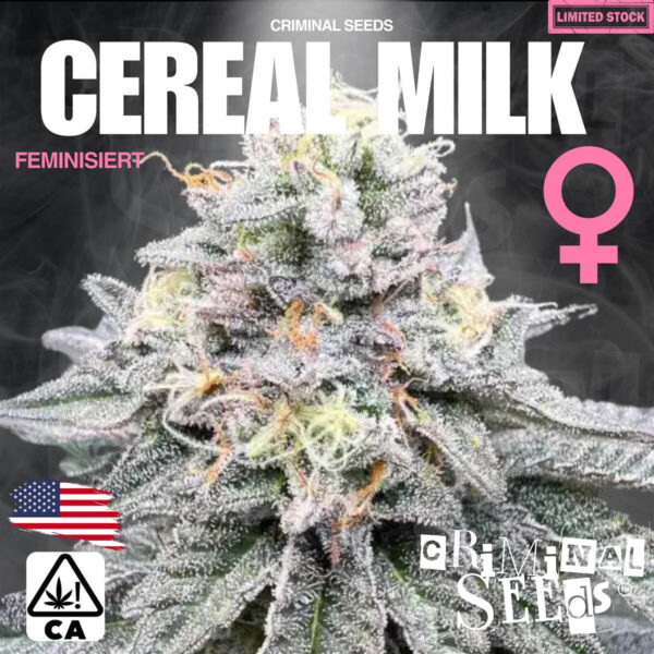 criminal-seeds-cereal-milk-x-cali-fem.jpg Pollenshaker XL Cannabis Samen