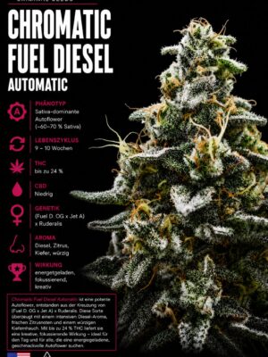 Criminal Seeds Chromatic Fuel Diesel Auto Fem 3St.