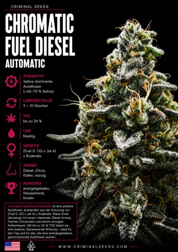 Criminal Seeds Chromatic Fuel Diesel Auto Fem 3St.