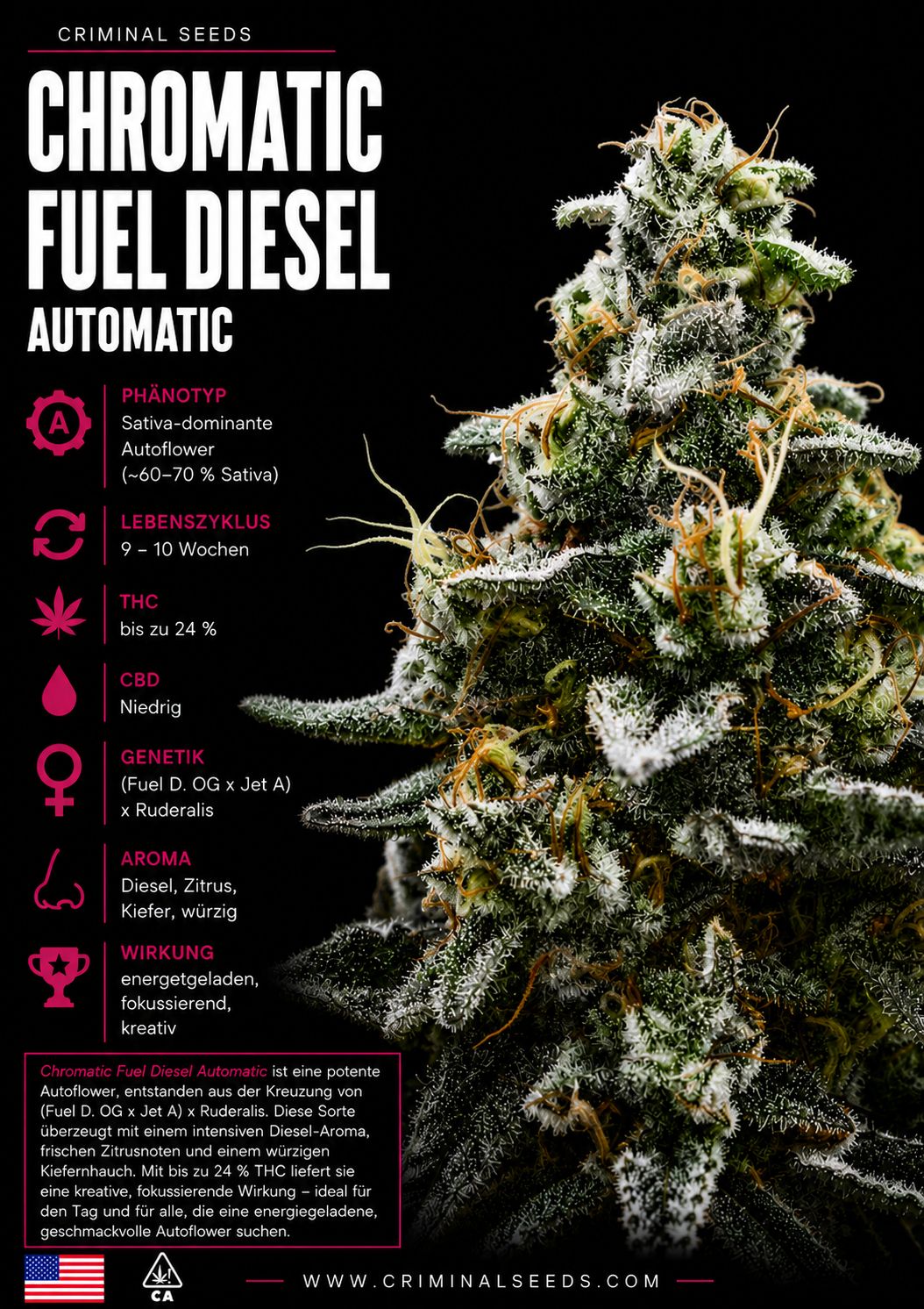 Criminal Seeds Chromatic Fuel Diesel Auto Fem 3St.