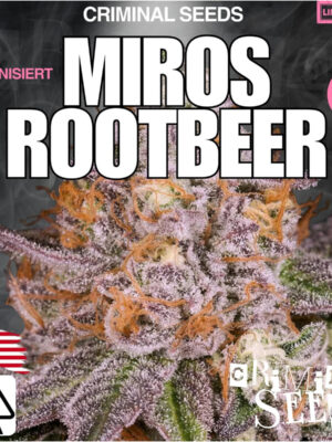 criminal-seeds-miros-rootbeer-x-cali-fem-3st.jpg Miros Rootbeer x Cali – Criminal Seeds feminisiert 3er Pack Cannabis Samen