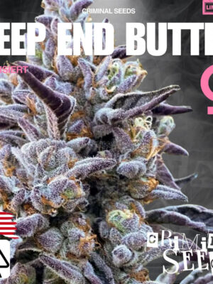 Photosythese Plus 3785ml Cannabis Samen