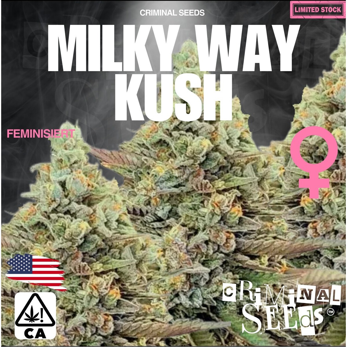 Platinum Dragon x Cali - Criminal Seeds feminisiert 3er Pack