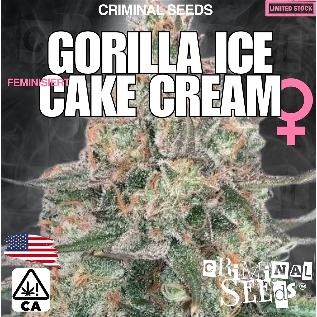 The Northhaze Kush x Cali - Criminal Seeds feminisiert 3er Pack