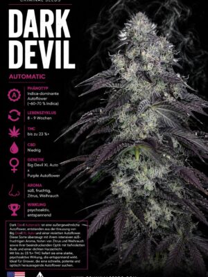 Dark Devil Criminal Seeds 3er Pack