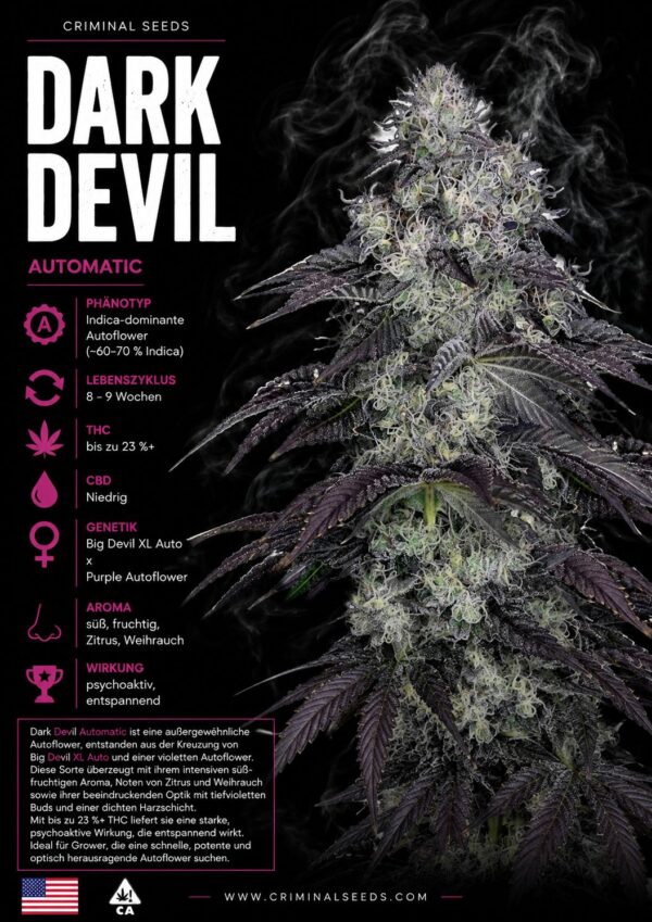 Dark Devil Criminal Seeds 3er Pack Dark Devil Criminal Seeds 3er Pack