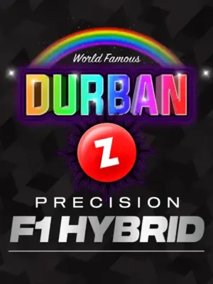 Durban Z – Barneys Farm feminisiert 3er Pack
