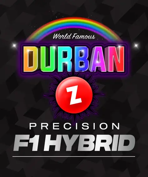 durban z