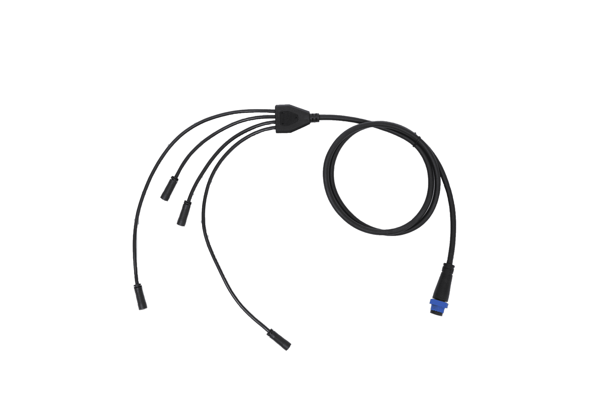 SANLight FLEX II 4-Stecker Verteilkabel für 150 / 240 / 320 Watt Netzteil