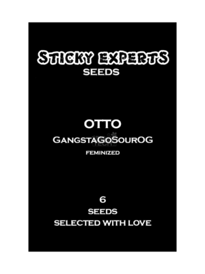 Gangsta Sour OG – Sticky Experts feminisiert 6er Pack Gangsta Sour OG – Sticky Experts feminisiert 6er Pack