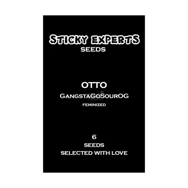 Gangsta Sour OG – Sticky Experts feminisiert 6er Pack