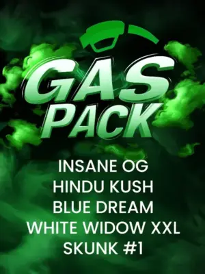 Gas Pack - Barneys Farm feminisiert 5er Pack