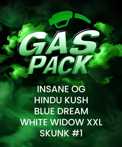 gas-pack_circle_new_21_554309.webp Gas Pack - Barneys Farm feminisiert 5er Pack