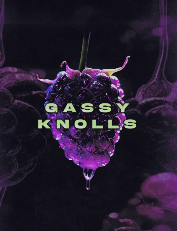 Gassy Knolls Cipher Genetics feminisiert 3er Pack