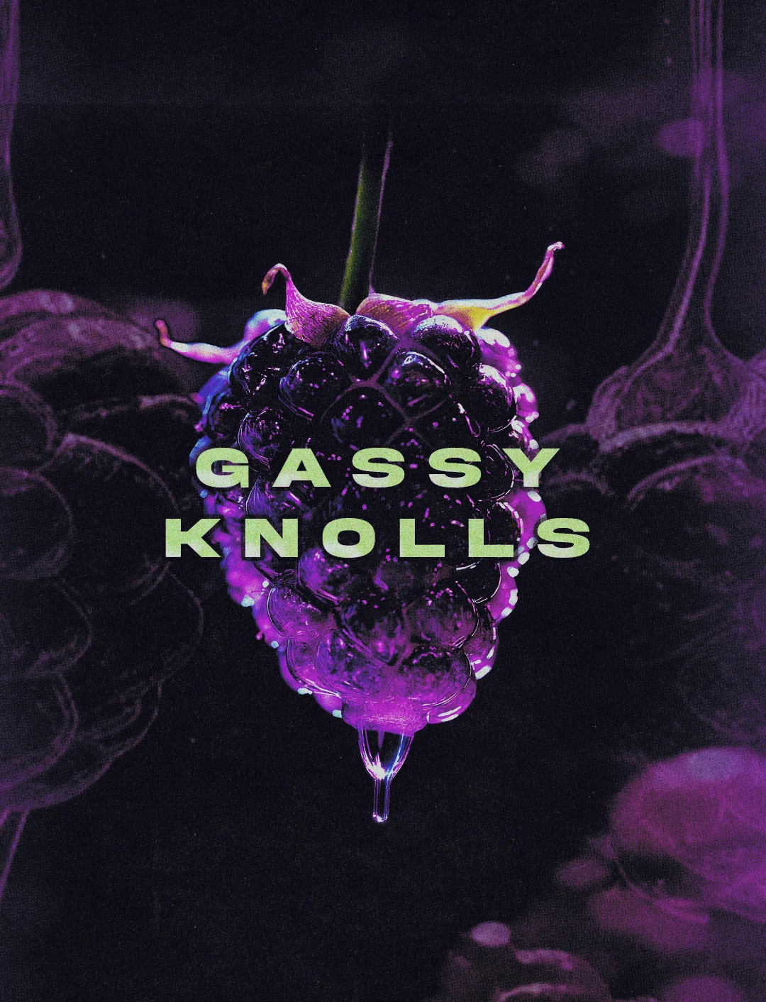 Gassy Knolls Cipher Genetics feminisiert 3er Pack