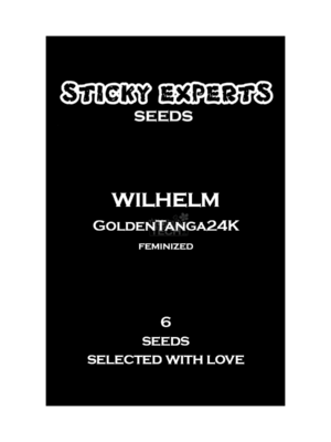 Golden Tanga 24K - Sticky Experts feminisiert 6er Pack