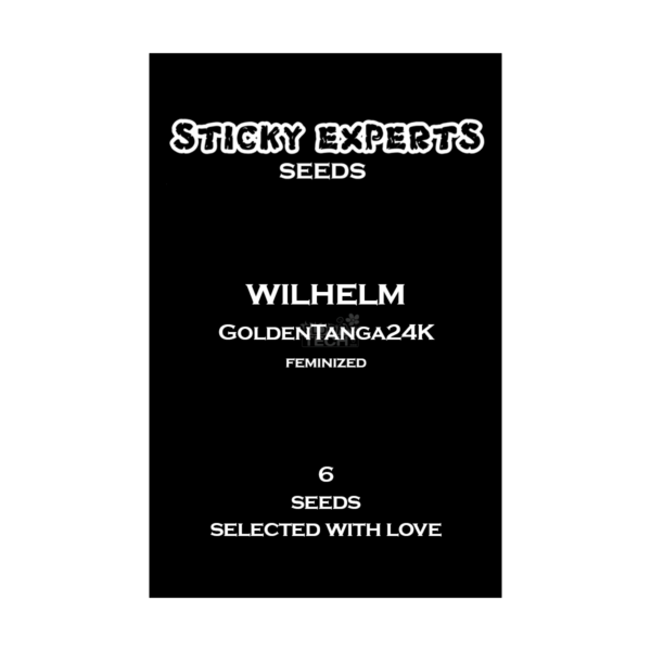 Golden Tanga 24K - Sticky Experts feminisiert 6er Pack
