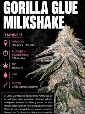 Gorilla Glue Milkshake X Cali – Criminal Seeds feminisiert 3er Pack Gorilla Glue Milkshake X Cali – Criminal Seeds feminisiert 3er Pack