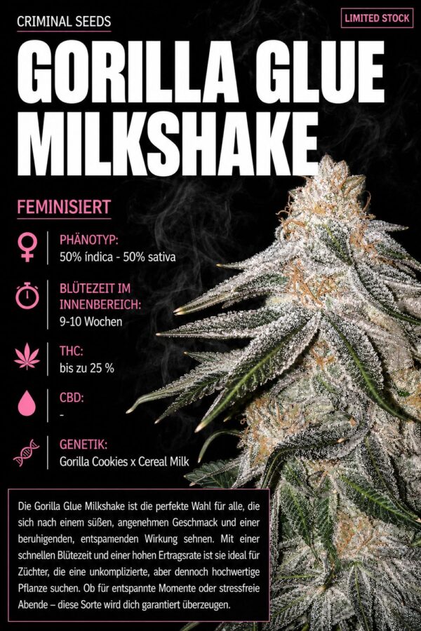 Gorilla Glue Milkshake X Cali – Criminal Seeds feminisiert 3er Pack