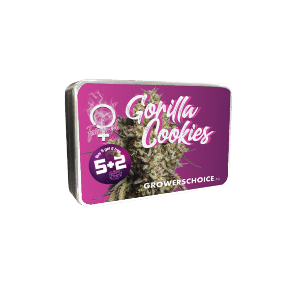 Growers Choice Gorilla Cookies Samen – Bild 4