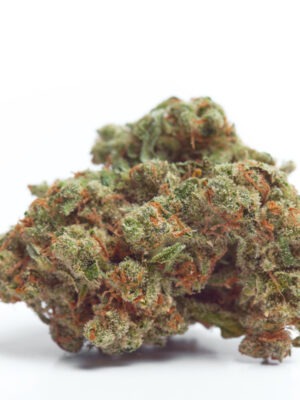 Growers Choice Gorilla Cookies Samen