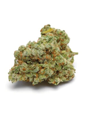 Banana Sherbert XXL Auto – Growers Choice feminisiert 3er Pack Cannabis Samen