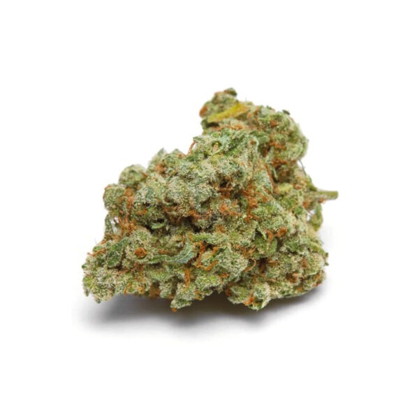 Banana Sherbert XXL Auto – Growers Choice feminisiert 3er Pack Cannabis Samen