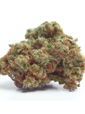 Gorilla Cookies – Growers Choice feminisiert 3er Pack Cannabis Samen