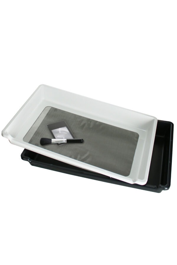 Heisenberg Trimtray-SET Heisenberg Trimtray-SET
