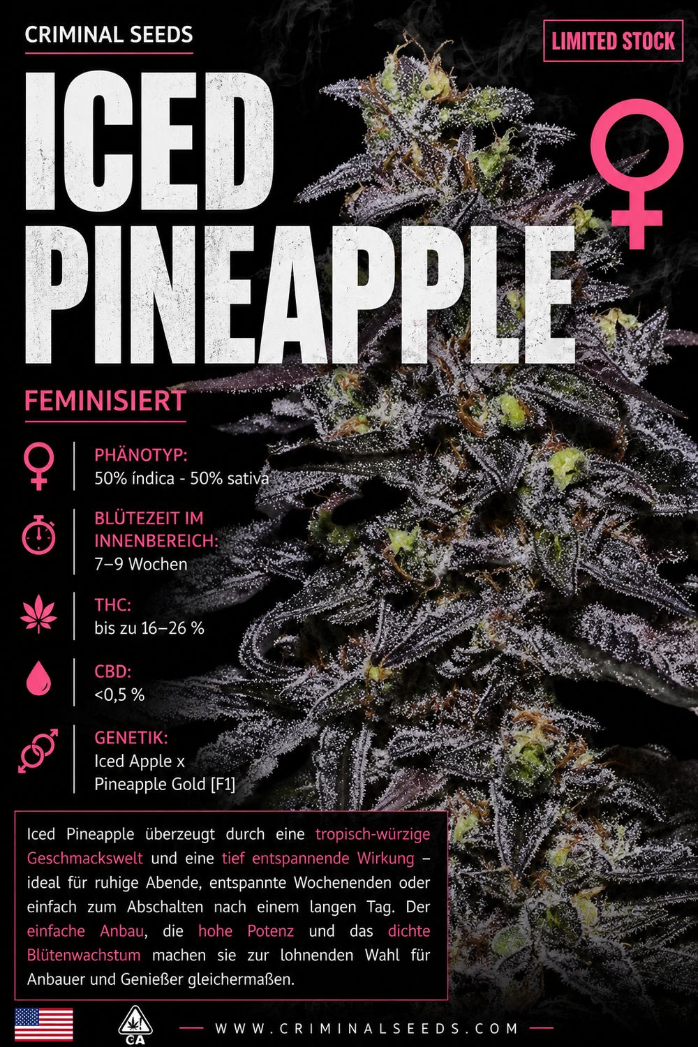 Iced Pineapple x Cali - Criminal Seeds feminisiert 3er Pack