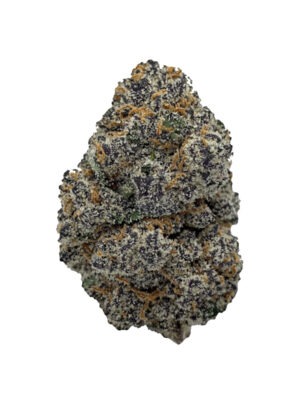 Tacky Glue - In House Genetics feminisiert 3er Pack