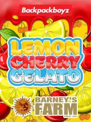 Lemon Cherry Gelato - Barneys Farm feminisiert 3er Pack
