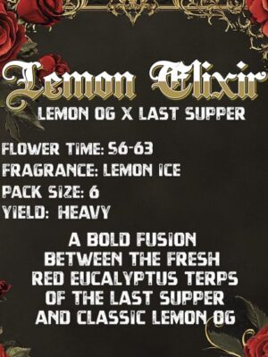 Lemon Elixir - Solfire Gardens feminisiert 6er Pack