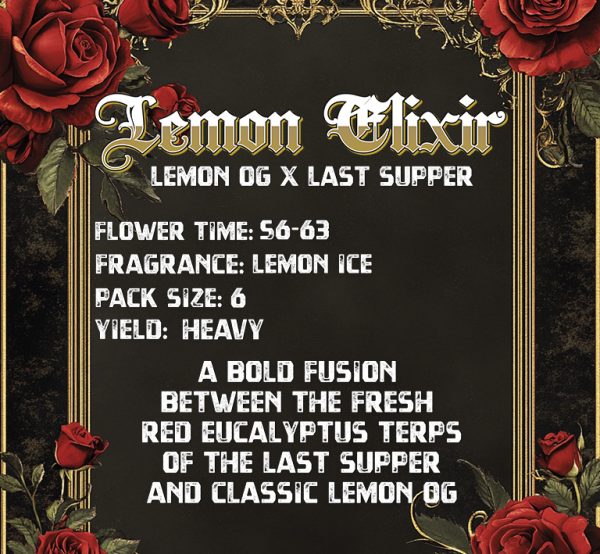 Lemon Elixir - Solfire Gardens feminisiert 6er Pack