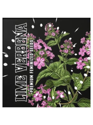 Lime verbena doja