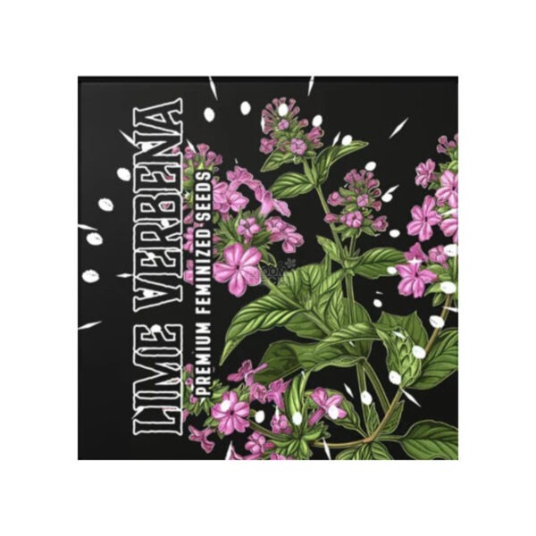 Lime Verbena – Doja Seeds feminisiert 3er Pack Lime Verbena – Doja Seeds feminisiert 3er Pack