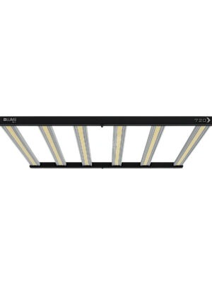 Lumii XLED 720W Beleuchtung