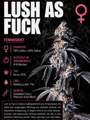 Lush as Fuck x Cali – Criminal Seeds feminisiert 3er Pack Lush as Fuck x Cali - Criminal Seeds feminisiert 3er Pack