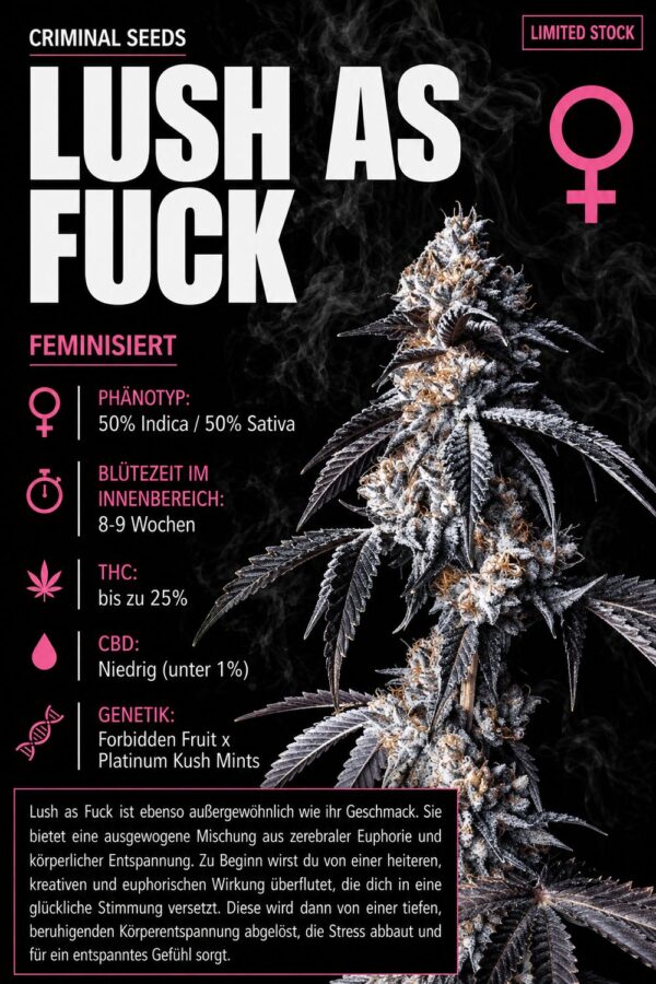 Lush as Fuck x Cali – Criminal Seeds feminisiert 3er Pack