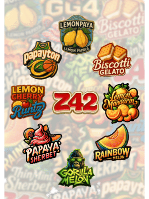 MIX PACK - Fast Buds feminisiert 5er Pack