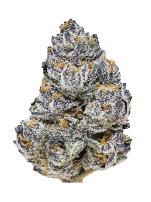 Rainbow Melon - Fast Buds feminisiert 3er Pack
