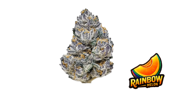 Rainbow Melon - Fast Buds feminisiert 3er Pack