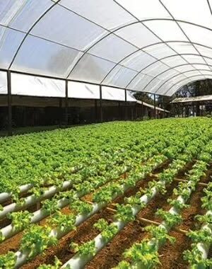 Mega Grow 1000 Umkehr-Osmoseanlage 1:2