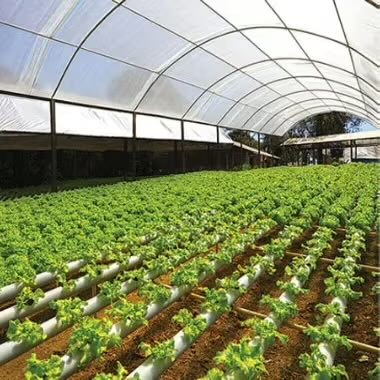 Mega Grow 1000 Umkehr-Osmoseanlage 1:2
